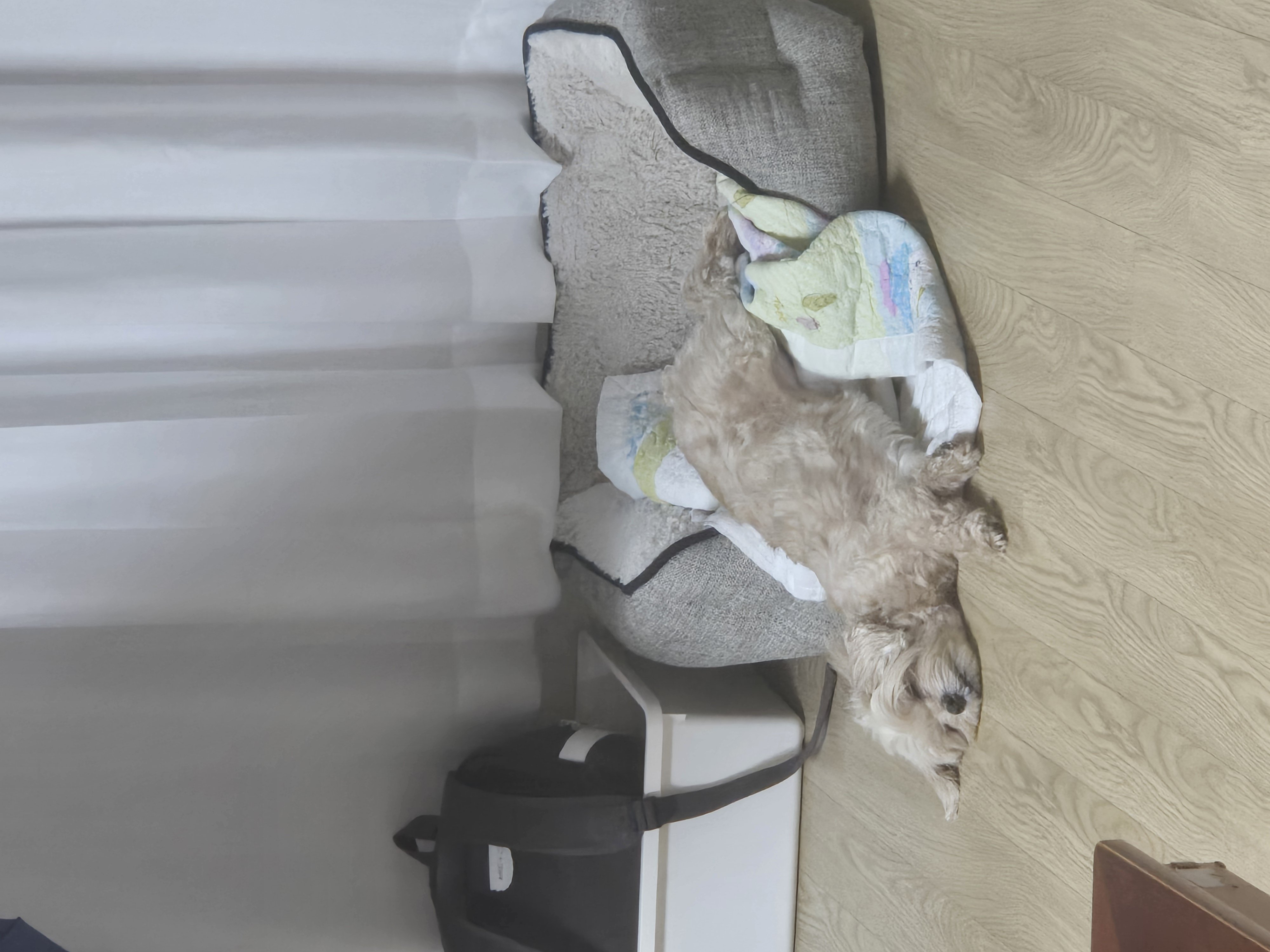 버터