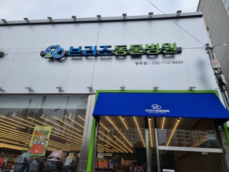 브리즈 동물병원